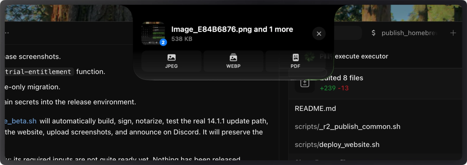 Droppy 14.2 beta 1 showing the Convert Quick Action and its available output formats.